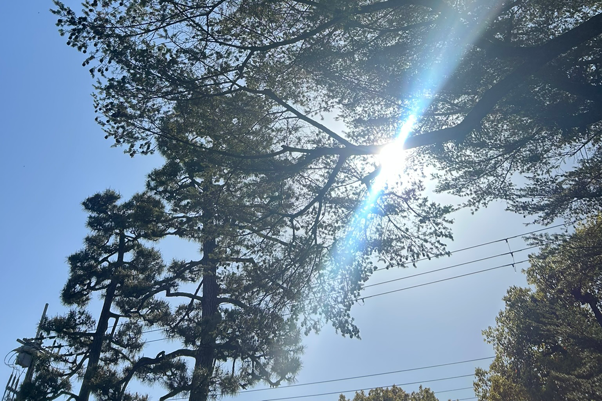 202600411_2 (138731)